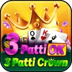 3 Patti Ok icon